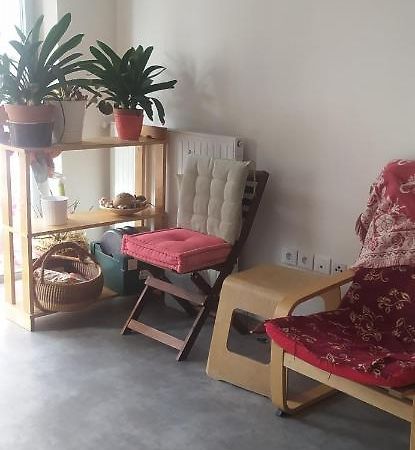 Studio Purpan Apartment Toulouse Bagian luar foto
