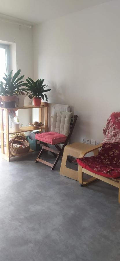 Studio Purpan Apartment Toulouse Bagian luar foto