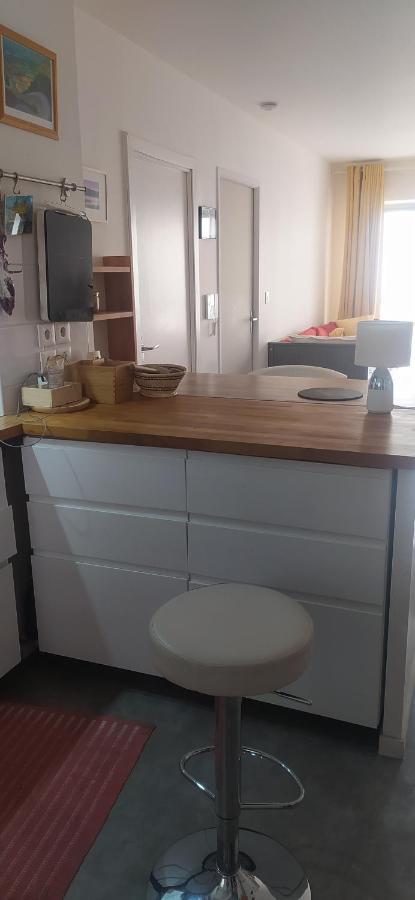 Studio Purpan Apartment Toulouse Bagian luar foto